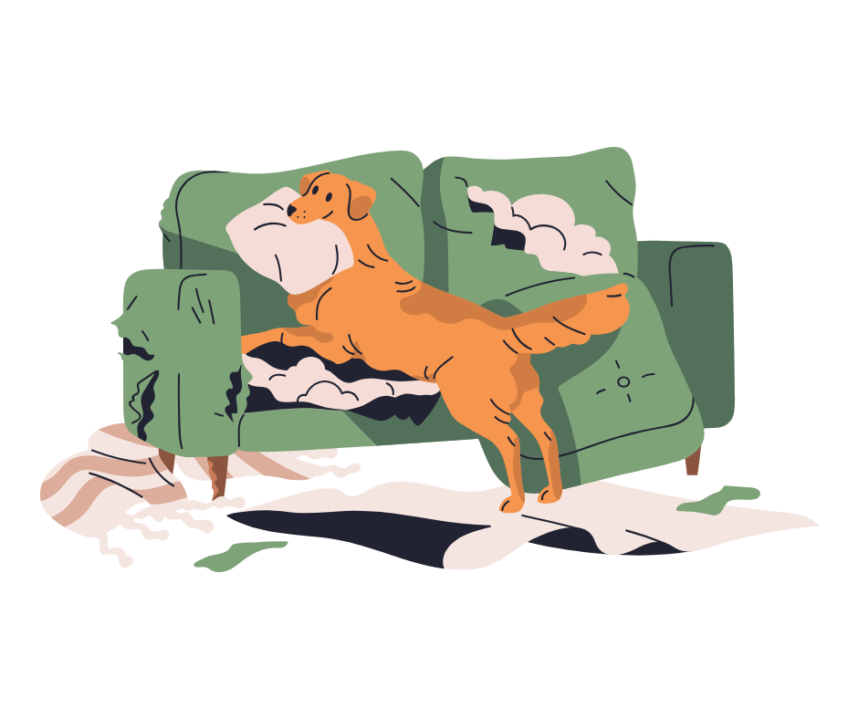 Why Mental Stimulation is Great for Dogs (And How to Do&nbsp;It)